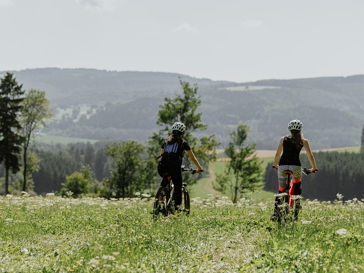 BIKEMAN Mountainbike Routes Ore Mountains