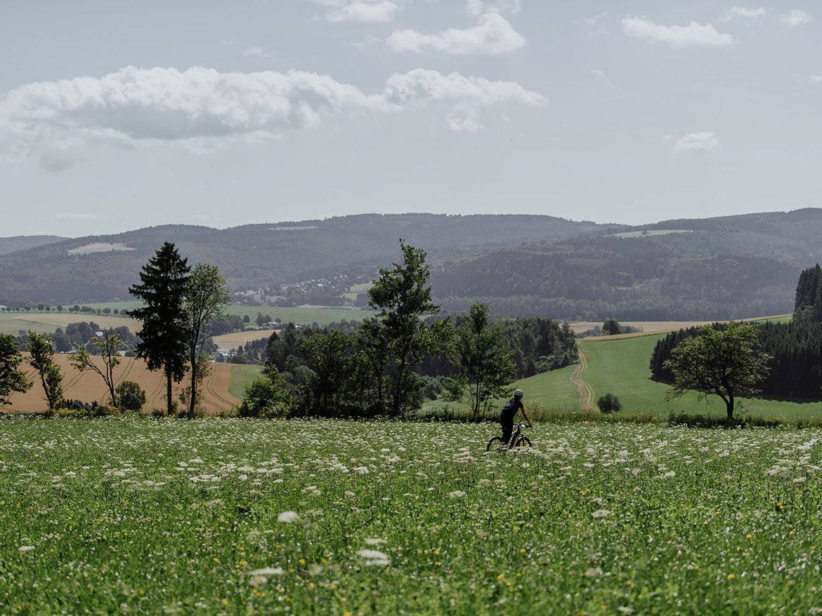 Mountainbike Verleih 