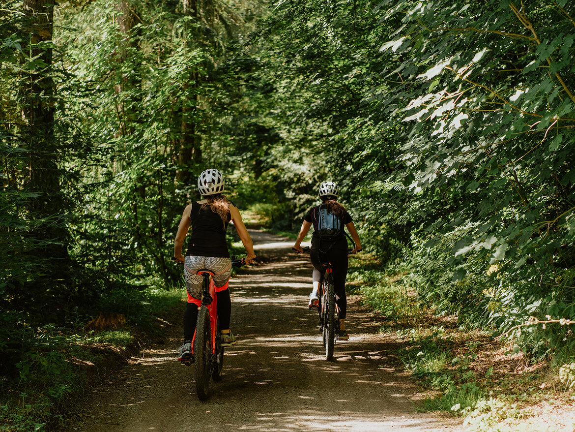 Mountainbike Verleih 