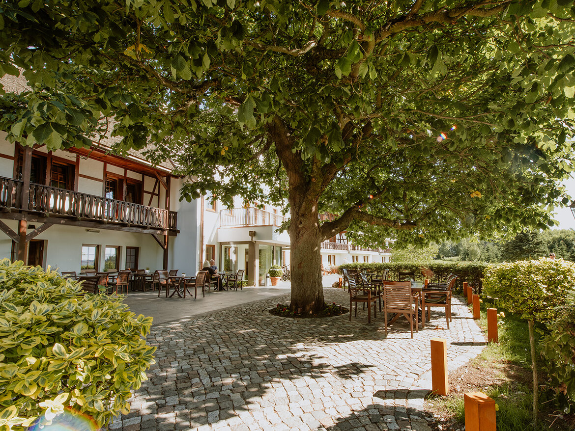 Restaurant & Terrasse