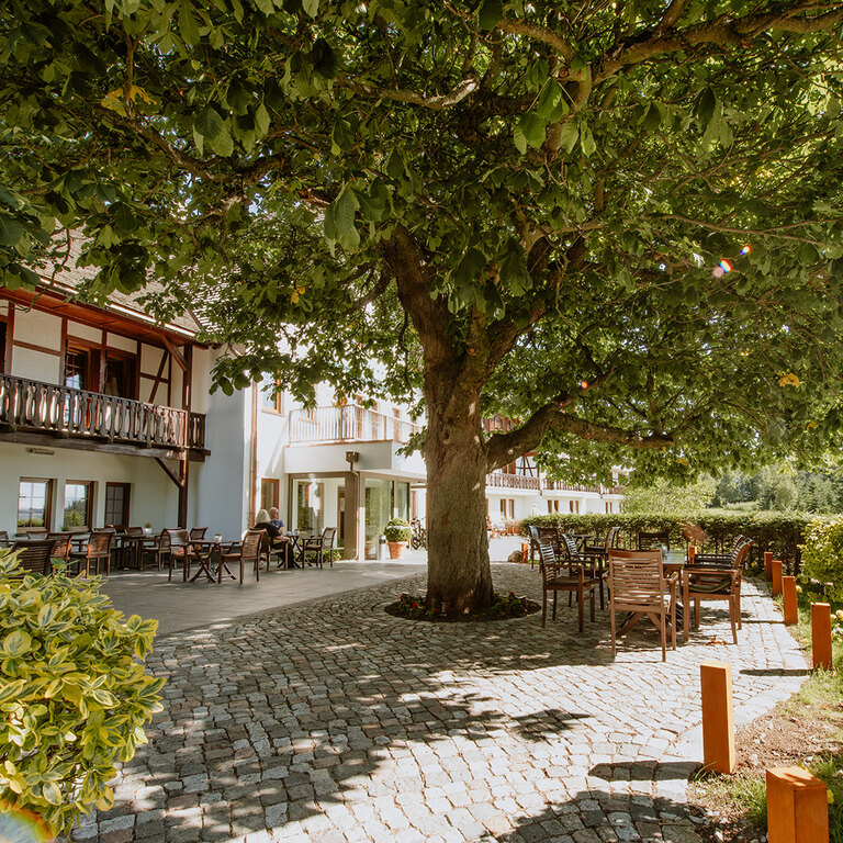 Restaurant & Terrace